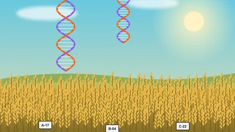 Illustration for the agriculture journey