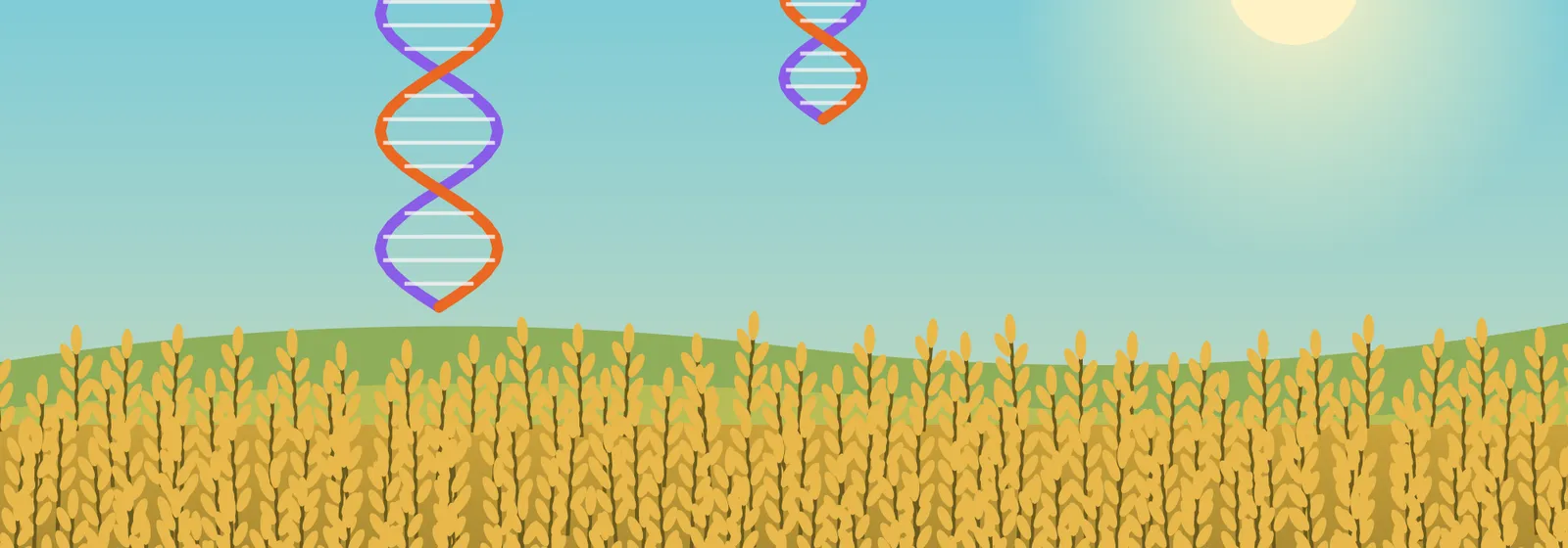Illustration for the agriculture journey